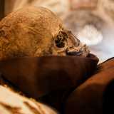 Rinvenuto straordinariamente incorrotto nella cripta della chiesa a circa vent�anni dalla sua morte avvenuta nel 1496, il corpo del Beato � tuttora oggetto di diversi interrogativi medico-scientifici